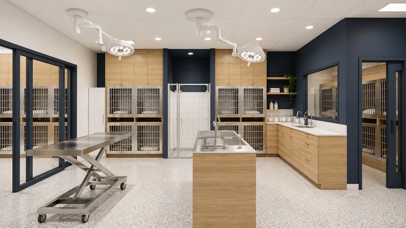 Treatment area and kennels